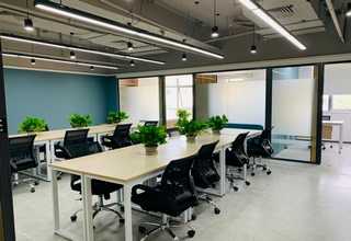 印度尼西亚南泽金龙鱼多少钱