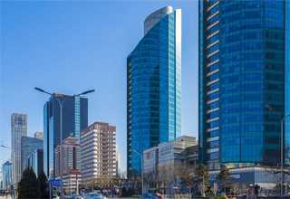 丰泽区常见绿植零售