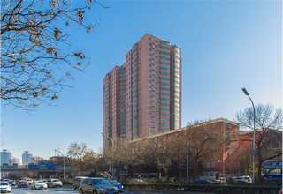 上海进口胶原蛋白肽品牌